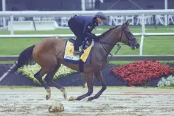 2025 Black-Eyed Susan odds, preview, picks, and best bets